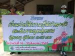 โครงการเยี่ยมบ้านให้ความรู้ให้คำแนะนำและติดตามดูแลสุขภาพผู้ส